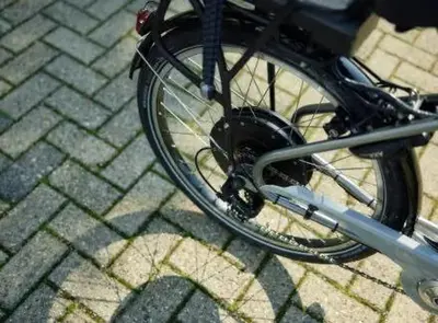 Rolstoelfiets Transporter van Nijland