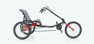 Driewielfiets Trigo van Hase