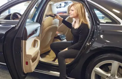 Auto hoofdsteungreep Vitility