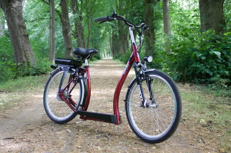 Elektrische loopfiets volwassenen SitGo Electric