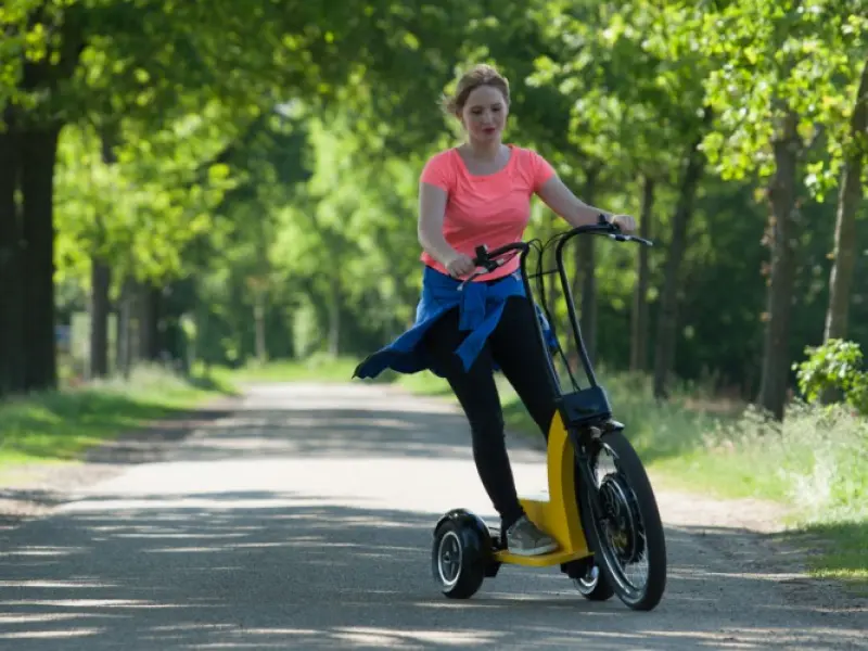 Elektrische trike Swing trike