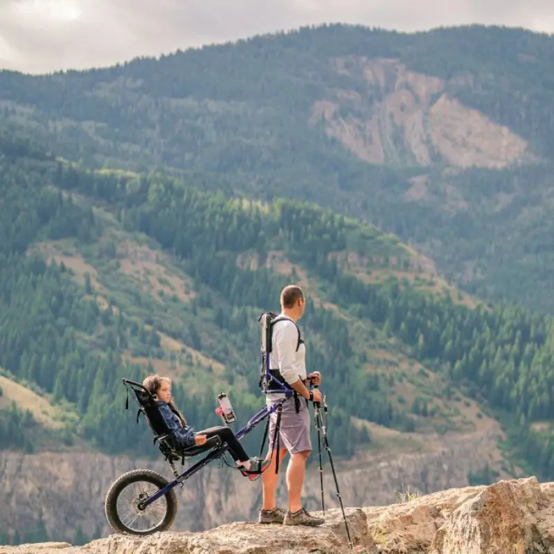 Wandelkar Cascade Tandem