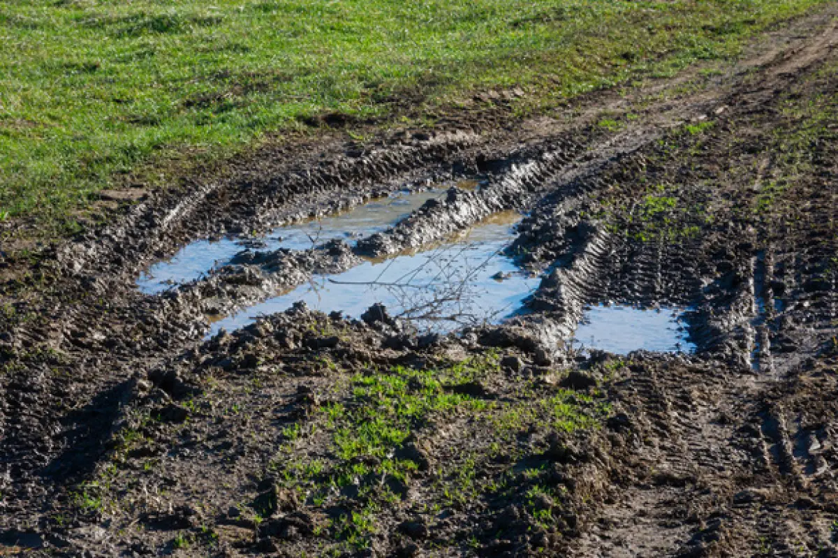 Stock photo mud puddle road spring rural