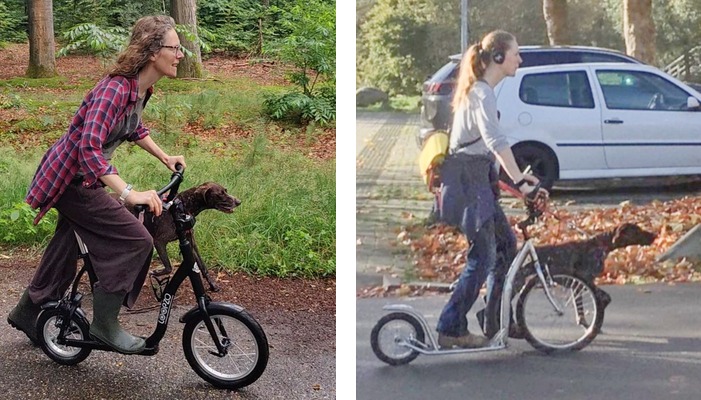 Loopzo hond uitlaten